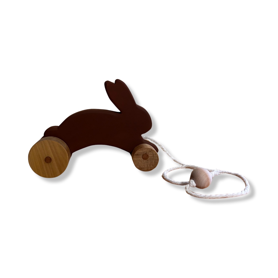 Wooden Pull Behind Animal Character